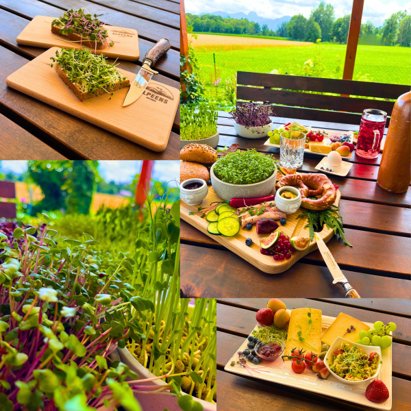 🌿 Alpeens® Designer-Anzuchtset für Microgreens "Fels-Optik" – Bild 8