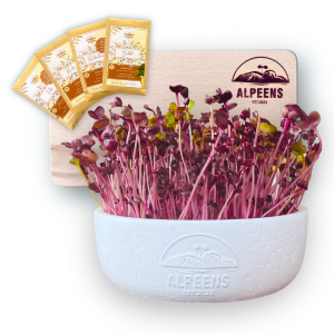🌿 Alpeens® Designer-Anzuchtset für Microgreens "Gletscher-Optik"