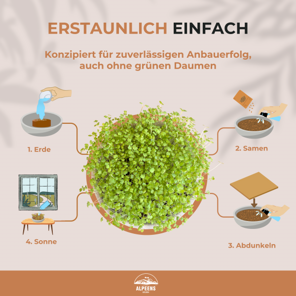 🌿 Alpeens® Designer-Anzuchtset für Microgreens "Gletscher-Optik" – Bild 4